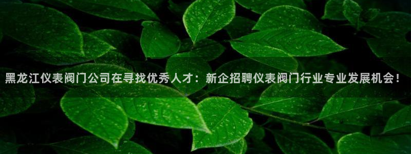 新宝gg网赚