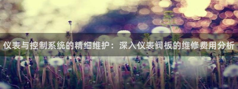 新宝 gg 总代理