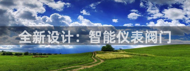 新宝gg挣钱
