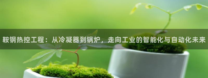 新宝GG绿色