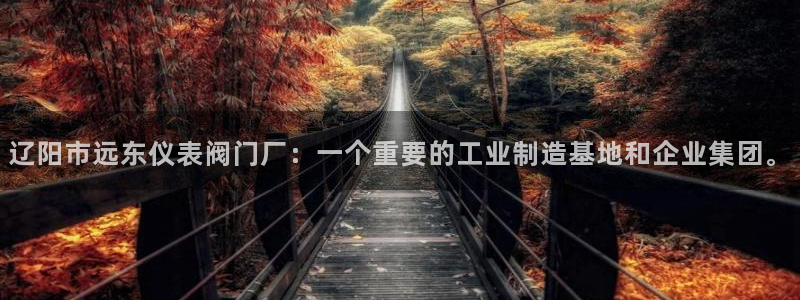 新宝gg平台