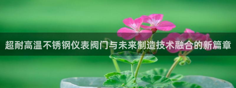 新宝gg ios下载