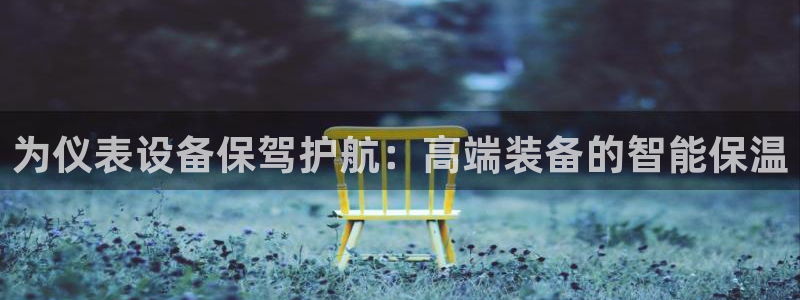 c新宝GG