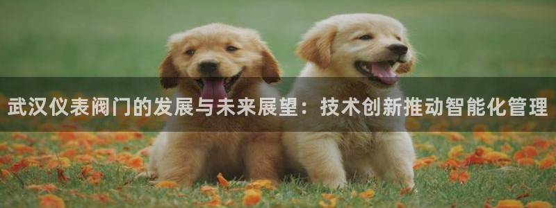 怎么下载新宝gg