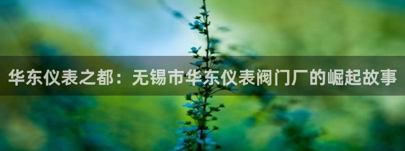 新宝太阳gg