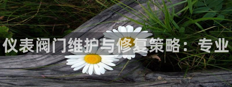 新宝GG娱乐下载