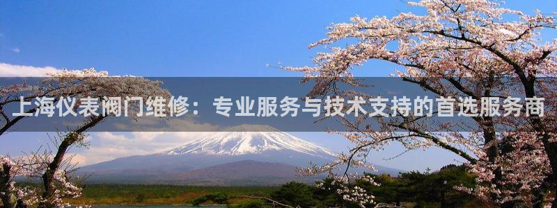 新宝gg盈亏
