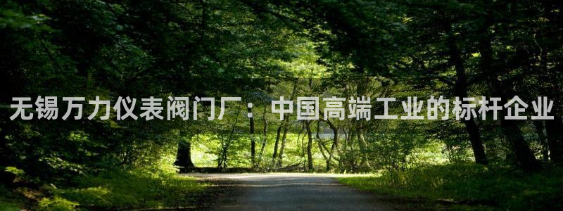 新宝GG链接