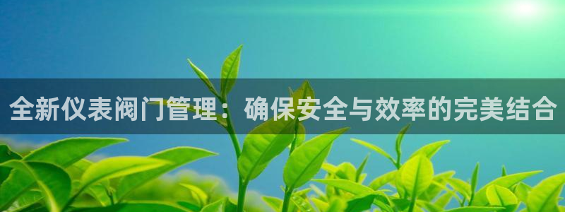 新宝gg奇迹