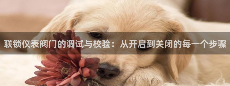 新宝gg真的能赚钱么