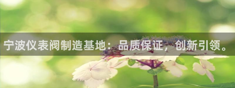 新宝GG都有哪些计划