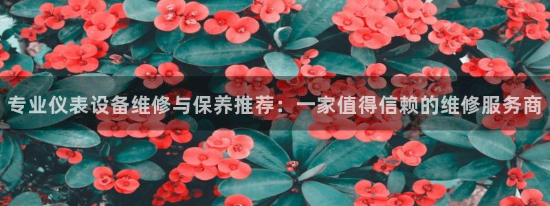 新宝哈哈gg
