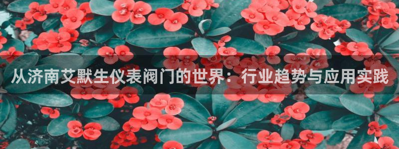 新宝gg资料