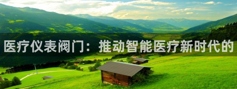 新宝gg吧