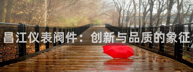 新宝 gg 下载