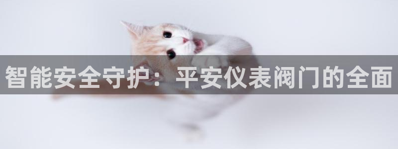 网站是新宝gg