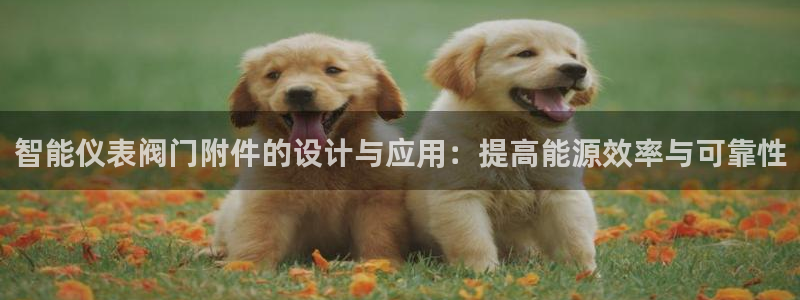新宝gg官网登录找代理