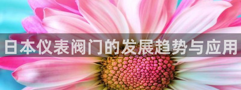 新宝 gg
