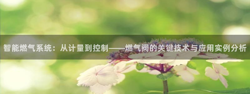 新宝gg客服电话