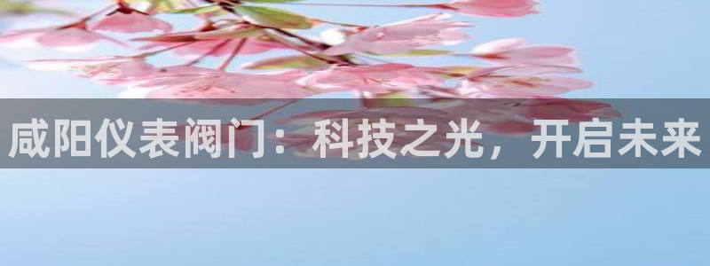 新宝gg扣钱