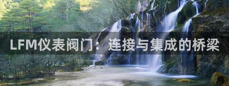 新宝gg挣钱
