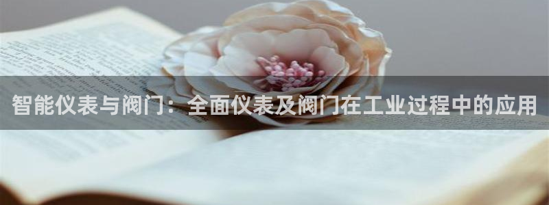 新宝gg 黑