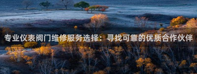 行新宝gg