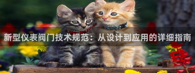 新宝gg打发