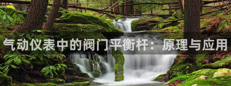 新宝gg直属