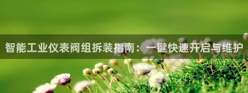 网站新宝GG