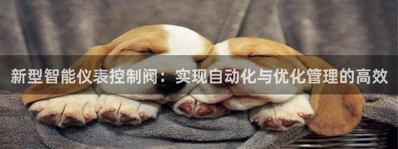 新宝gg漏洞
