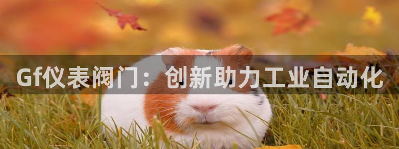 新宝gg重庆