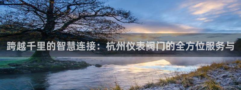 新宝gg作弊