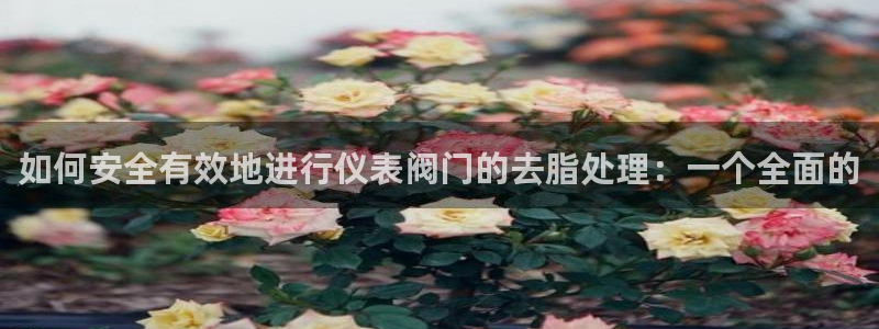新宝gg主管