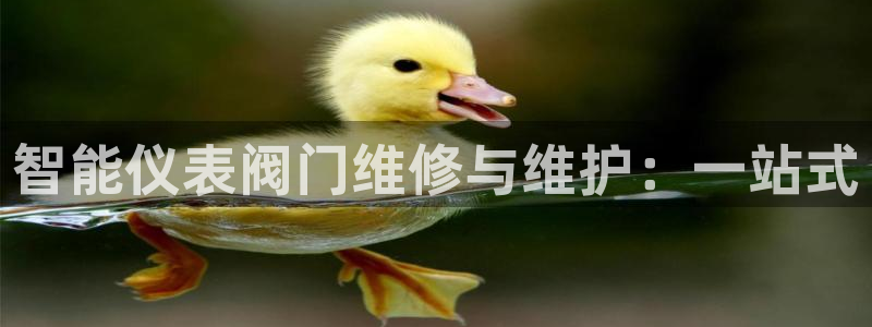 新宝gg dengludizhi