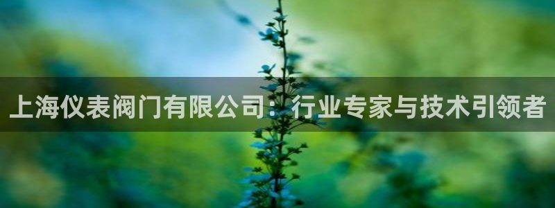 新宝gg手机版下载
