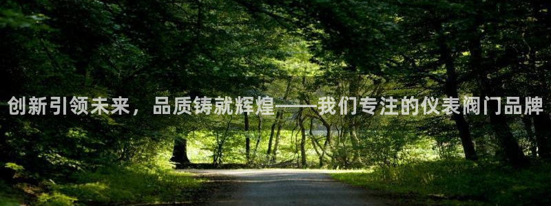 新宝gg游戏平台