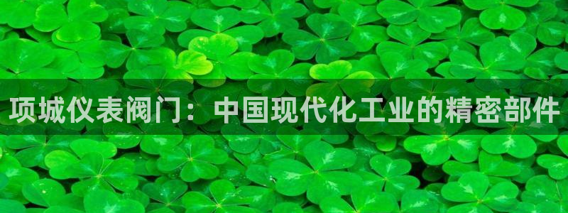 新宝gg登录网址
