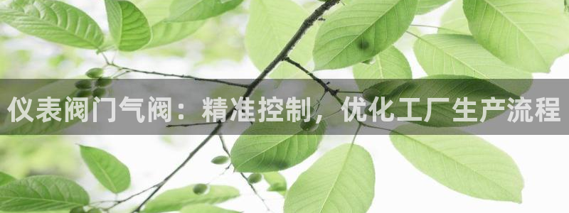 新宝gg违法