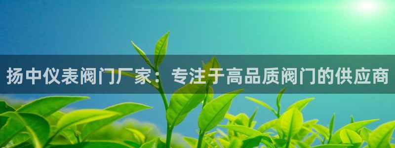 新宝GG最高返点多少