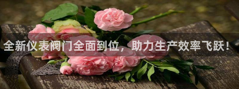 新宝gg计划