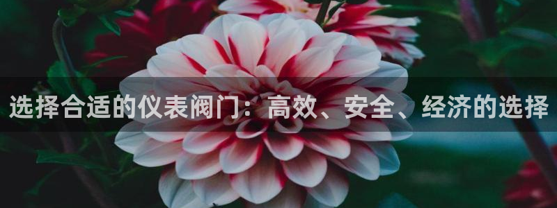 新宝gg运营88383