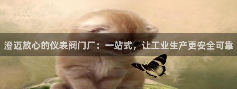 新宝奇迹GG5