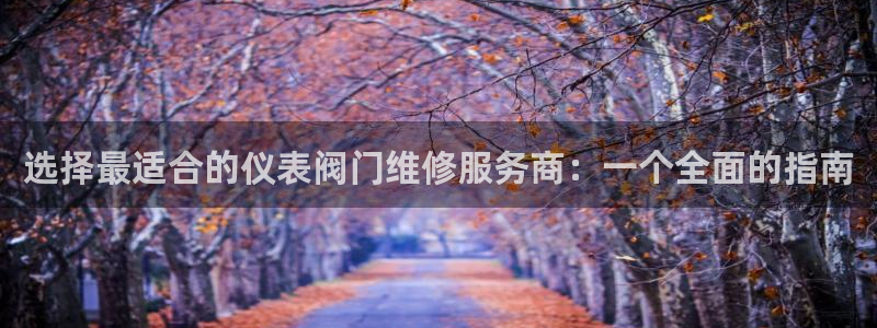 新宝gg注