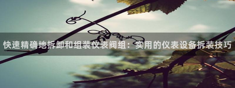 新宝gg娱乐上皇巢网