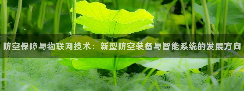 新宝注册gg平台