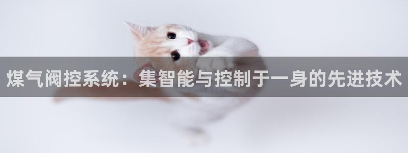 收新宝gg