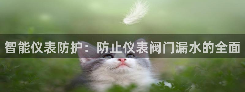 怎么代理新宝gg