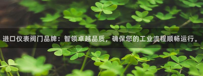 关于新宝GG
