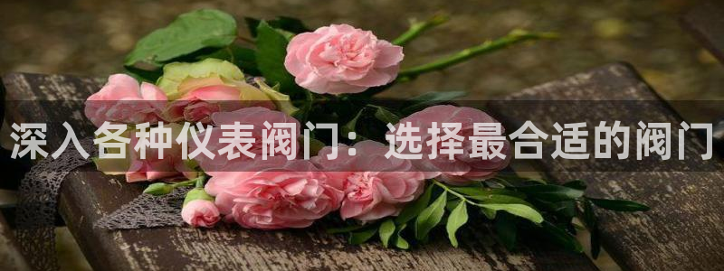 新宝平台gg